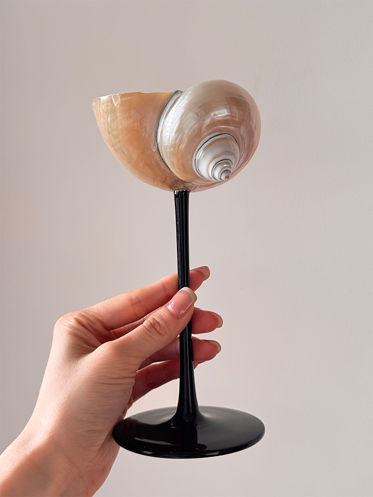 Verre à Champagne en coquille  - Home Bar Set avis et prix